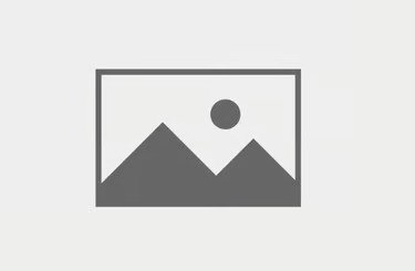 تونة